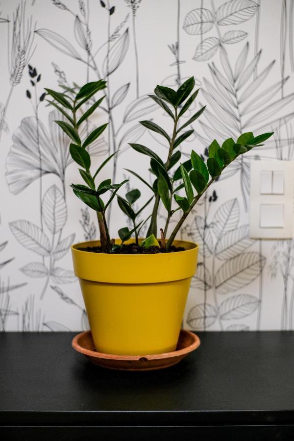 Studio Cocooning In Strasbourg & Help An Ecoproject ! Apartment Luaran gambar
